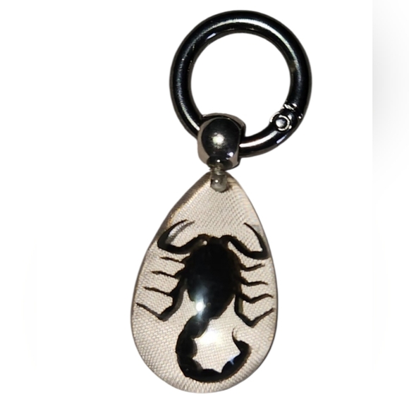 Authentic Scorpion Keychain - Picture 1 of 1